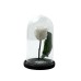 Beauty And The Beast White Rose Small Campana